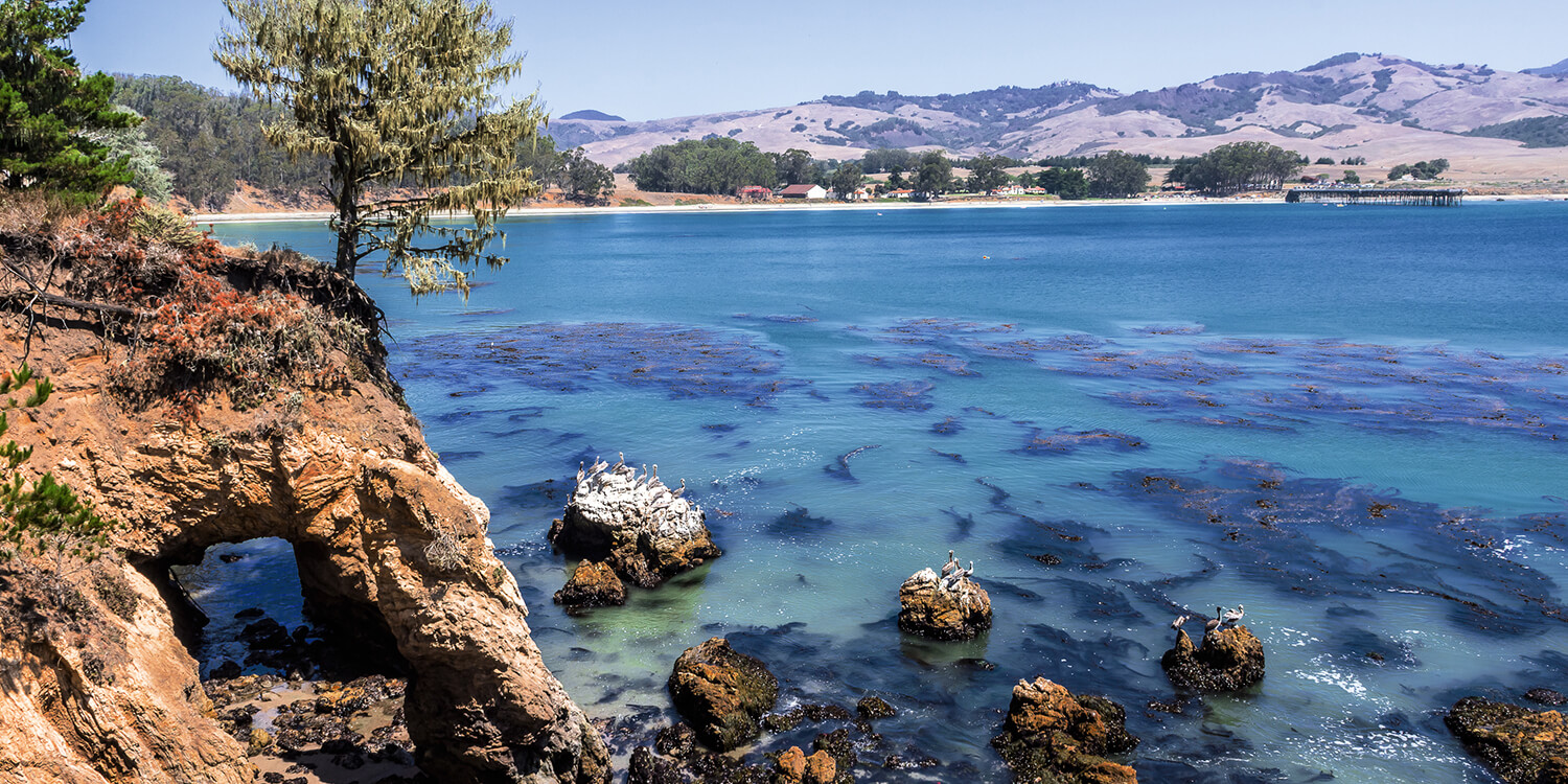 DISCOVER THE BEAUTY OF SAN SIMEON, CA AT OUR AFFORDABLE MOTEL