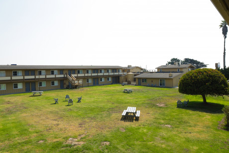 Welcome To The Silver Surf Motel - Lawn