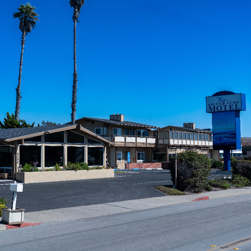 Welcome To The Silver Surf Motel - Front