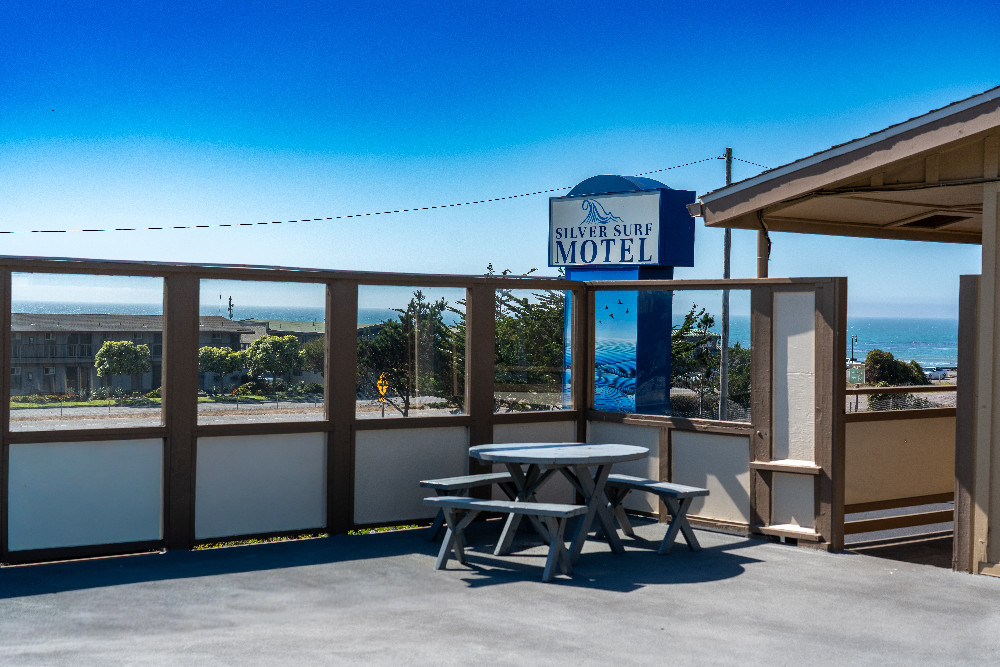 Welcome To The Silver Surf Motel - Sundeck