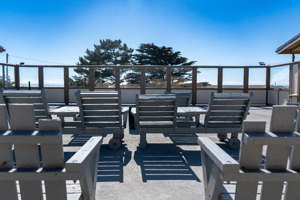 Welcome To The Silver Surf Motel - Sundeck
