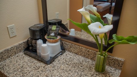 Vanity Area